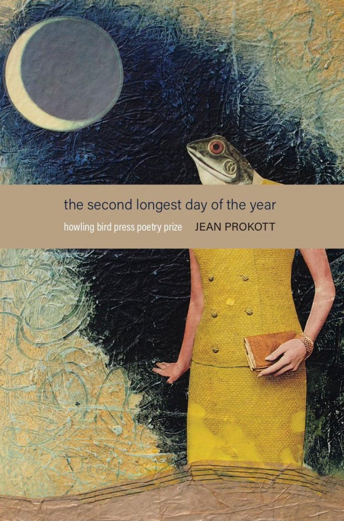 The Second Longest Day of the Year book cover