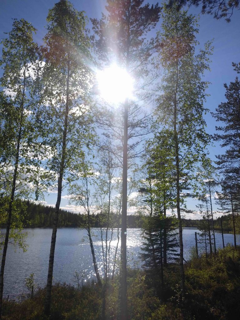A shimmering lake with new birch leaves. Perfect.