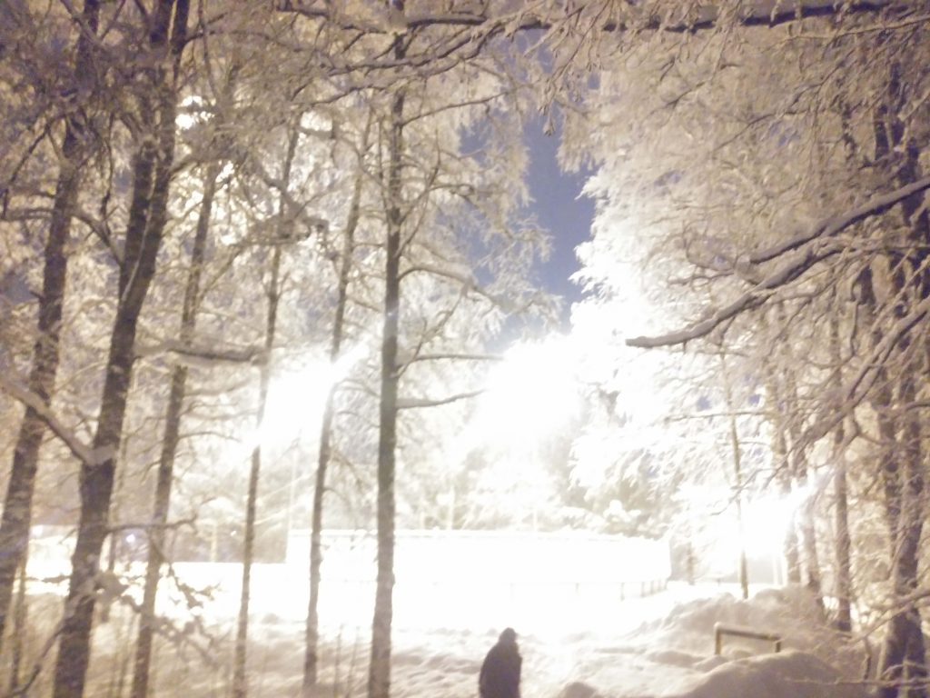 skating rink in snow